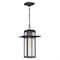Quoizel Randall 1-Light Mottled Black Mini Pendant RDL1509MB - alternate 1